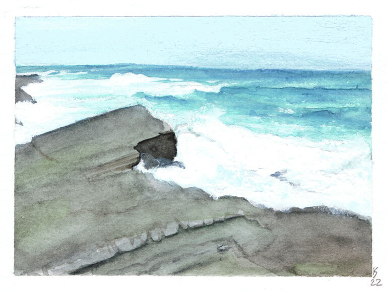 Wild waves and the sea