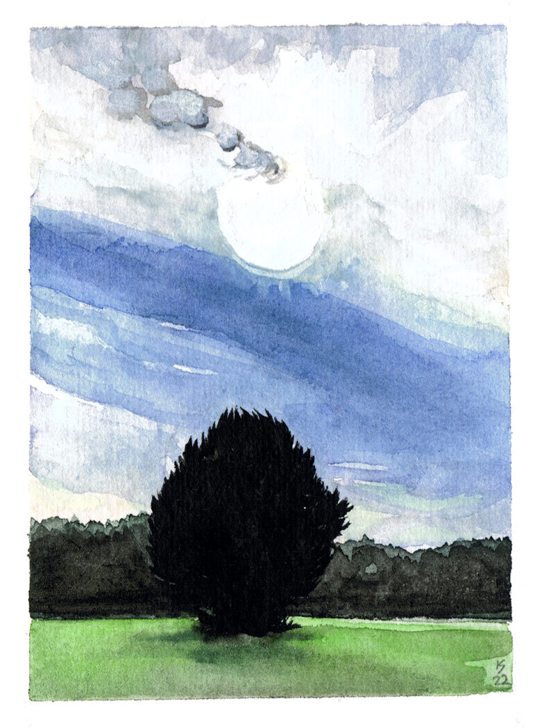 A single tree with dramtic lighting