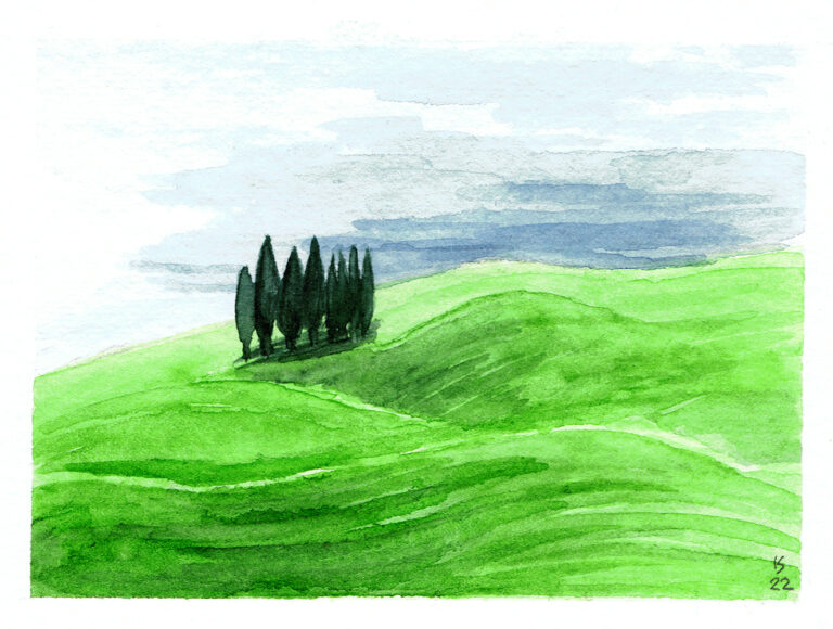 Tree grove between green meadows